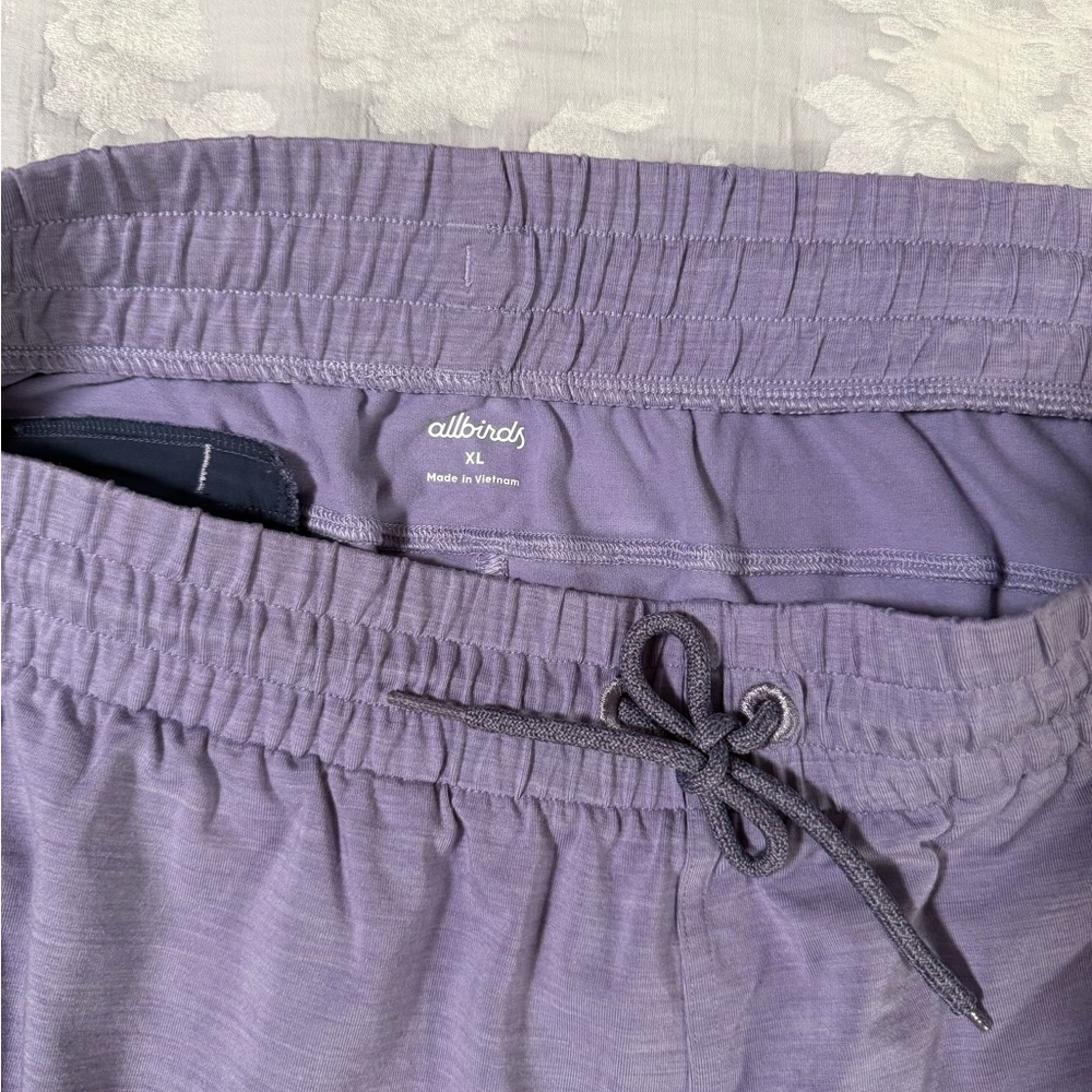 Allbirds Purple Merino Wool Blend 21.30 Natural Performance Jogger (Size XL) - Picture 4 of 6